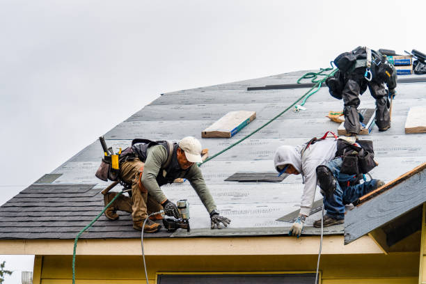 Professional Emergency Roof Repair technician working in Hooppole, IL